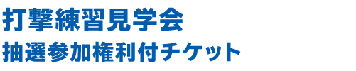 始球式 抽選参加権利付チケット